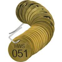 Brass Numbered "HWS" Valve Tags SX767 | NTL Industrial