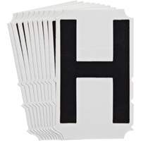 Quick-Align<sup>®</sup>Individual Gothic Number and Letter Labels, H, 4" H, Black SZ996 | NTL Industrial
