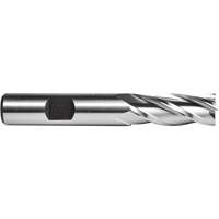 C615 End Mill, 1/4" Dia., 4 Flutes, High Speed Steel NTL Industrial