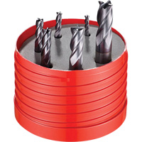 922 Cutter Set, 6 Pieces, Carbide NTL Industrial