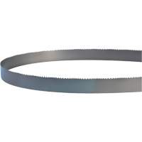 Welded Bandsaw Blade, Bi-Metal, 14' L x 1" W x 4 - 6 TPI NTL Industrial