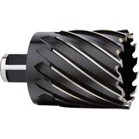 Annular Cutter, 2" Diameter, High Speed Steel, 2" Depth of Cut, 3/4" Shank NTL Industrial