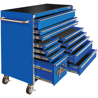 RX Series Rolling Tool Cabinet, 12 Drawers, 55" W x 25" D x 46" H, Blue TEQ501 | NTL Industrial
