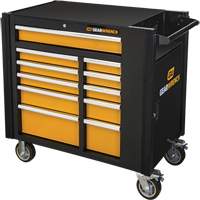 Powered Tool Cart, 11 Drawers, 42-1/2" W x 24-7/16" D x 41" H, Black/Orange NTL Industrial