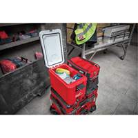 Packout™ Compact Cooler, 16 qt. Capacity TER113 | NTL Industrial