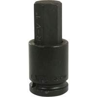 Standard Length Socket, Hex, 1" x 4" L, 3/4" Drive NTL Industrial