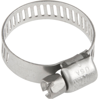 Hose Clamps - Stainless Steel Band & Screw, Min Dia. 0.316, Max Dia. 7/8" TLY284 | NTL Industrial