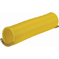Nylon Coil Air Hose With Fittings TLZ153 | NTL Industrial