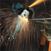 Angle Grinder with AC/DC Switch, 5", 10.5 A, 11000 RPM NTL Industrial