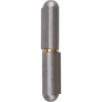 Weld-On Hinge, 0.453" Dia. x 2.756" L, Mild Steel w/Fixed Steel Pin TTV435 | NTL Industrial
