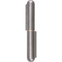 Weld-On Hinge, 0.787" Dia. x 5.906" L, Mild Steel w/Fixed Steel Pin TTV442 | NTL Industrial