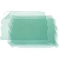 Prot&egrave;ge-lentille ext&eacute;rieure NTL Industrial