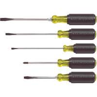Screwdriver Set, 5 Pcs. NTL Industrial