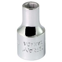 Socket, 4.5 mm, 1/4" Drive, 6 Points NTL Industrial