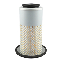 PA3833 Air Element NTL Industrial