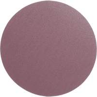 PSA Cloth Disc 348D, 12" Dia., 60 Grit, Aluminum Oxide, X-Weight NTL Industrial