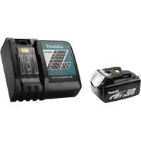 Rapid Battery Charger Kit, 18 V, Lithium-Ion NTL Industrial
