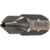 Insert Bit NTL Industrial