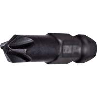 Embout extra dur pour outils &eacute;lectriques, Phillips, Embout #1, Prise 1/4", Longueur 2-3/4" NTL Industrial