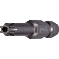 Tamper Power Bit NTL Industrial