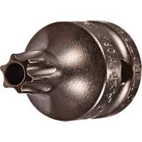Socket Bit, Torx&reg; Tamper, 8 x 3/4" L, 1/4" Drive NTL Industrial