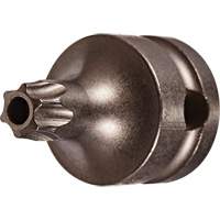 Socket Bit, Torx&reg; Tamper, 25 x 1" L, 3/8" Drive NTL Industrial