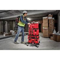 Packout Compact Tool Box, 10" x 16-1/5" x 13", Black/Red NTL Industrial