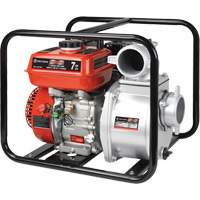 Gas Powered Water Pump, 196 cc, 4-Stroke OHV, 7.0 HP UAJ264 | NTL Industrial
