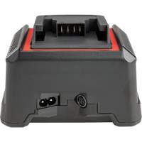 Chargeur de batterie 2,5 Ah et 5,0 Ah, 120 V, Lithium-ion NTL Industrial