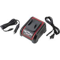 Chargeur de batterie 2,5 Ah et 5,0 Ah, 120 V, Lithium-ion NTL Industrial