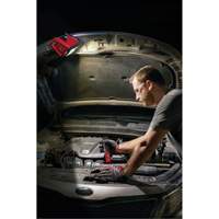 Projecteur d'illumination montable M12 ROVER, DEL, 250 W, 1000 lumens NTL Industrial