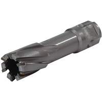 Couteau annulaire &agrave; tige universelle, Diam&egrave;tre de 1/2", Carbure, Profondeur de la coupe de 1", Tige 3/4" NTL Industrial