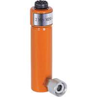 Hydraulic Rams, 3" Stroke, 2 Ton(s) Capacity NTL Industrial