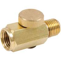 AR5401 Air Regulators - Brass, 1/4" NPT NTL Industrial