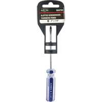 Tournevis &agrave; fente bleu transparent avec bandes , Tige de 1/8", Ronde, Prise en Plastique NTL Industrial