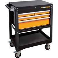 Jeu d'outils pour maître m&eacute;canicien MEGAMOD dans des plateaux en mousse modulaire de premi&egrave;re qualit&eacute; avec rangement d'outils, 1268 morcea NTL Industrial