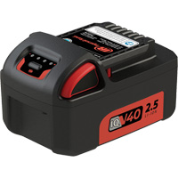 Battery, Lithium-Ion, 40 V NTL Industrial