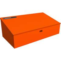 RAILWORKS Top Shelf Lockable Angled Workstation NTL Industrial