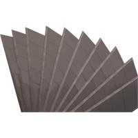 25mm Replacement Blades, Snap-Off Style NTL Industrial