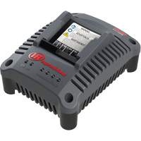Chargeur de batterie compact IQV20, 20 V, Lithium-ion NTL Industrial