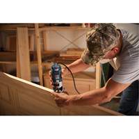 Colt Electronic Variable-Speed Palm Router NTL Industrial