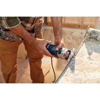 Colt Electronic Variable-Speed Palm Router NTL Industrial