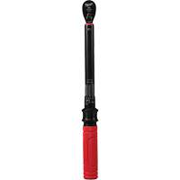 Torque Wrench, Click, 3/8" Square Drive, 20 - 100 in-lbs/27.1 - 135.6 N.m NTL Industrial