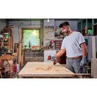 CE-AP 18 Li 18V Cordless High Volume Power Inflator (Tool Only) NTL Industrial