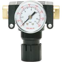 MODULAIR 200 Acetal Piston Regulator, 1/4" NPT, 150 PSI Max. PSI, In Line/Modular NTL Industrial