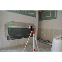 Niveau laser &agrave; lignes crois&eacute;es et 2 points GreenBrite&reg; NTL Industrial