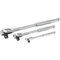 20-Tooth Sealed Head Ratchet Set NTL Industrial