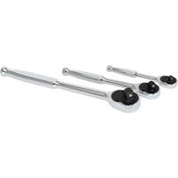 20-Tooth Sealed Head Ratchet Set NTL Industrial