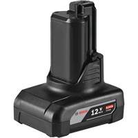 12V MAX Cordless Tool Battery, Lithium-Ion, 12 V, 6 Ah NTL Industrial