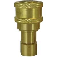 Hydraulic Quick Coupler - Brass Manual Coupler, Brass/Stainless Steel NTL Industrial